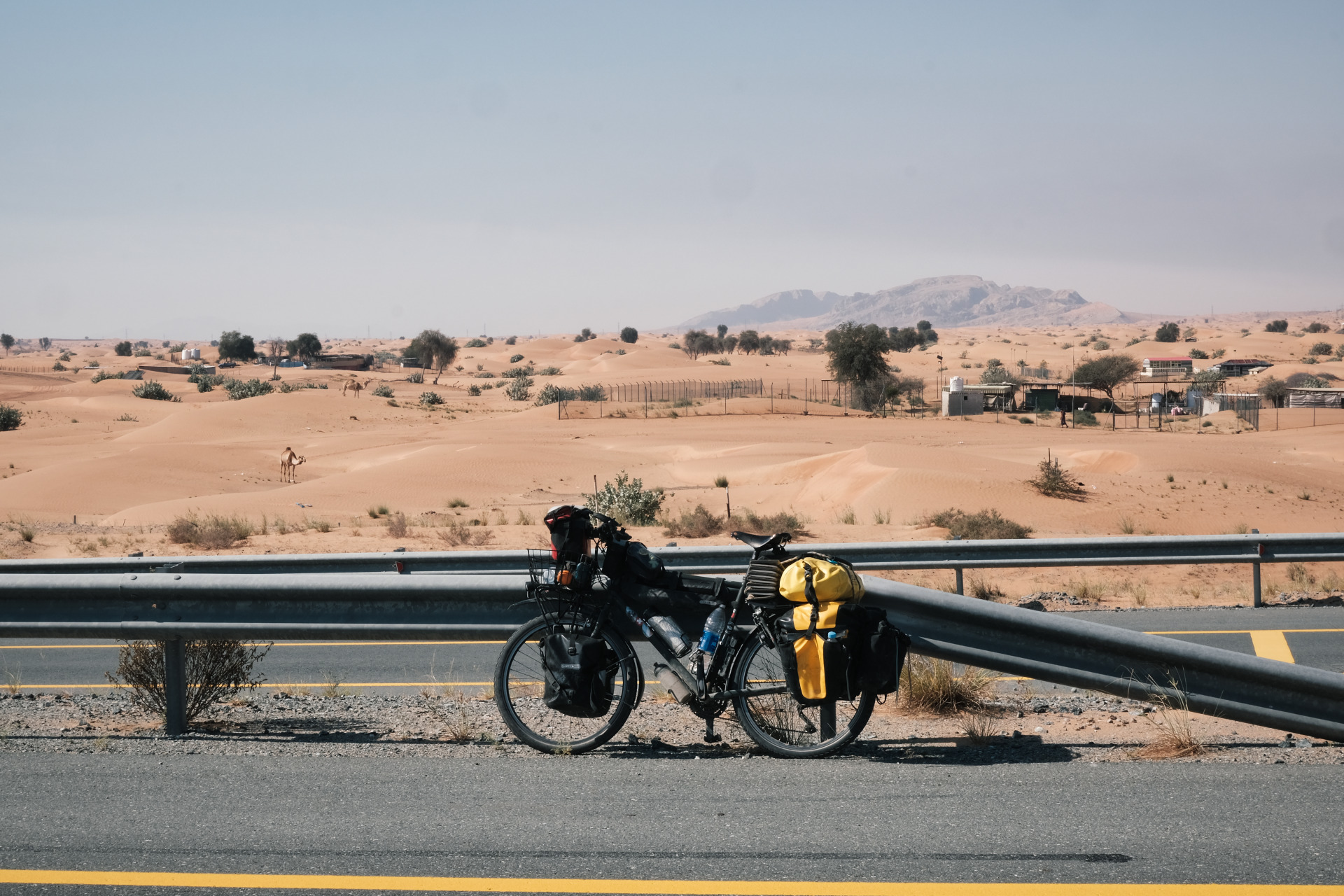 as Fahrrad steht zentral im Bild an einer Leitplanke lehnend. Im Hintergrund ist die Wüste und ein Kamel zu sehen.