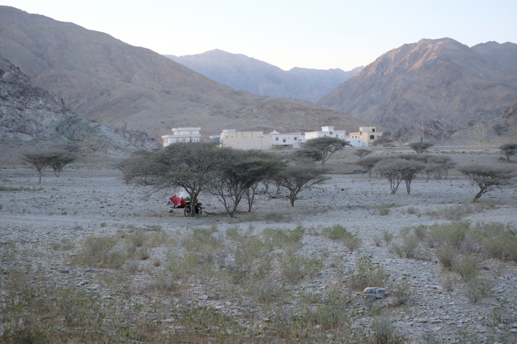 Im Hintergrund dieses grauen Wüstenbilds ist eine weiße Ortschaft zu sehen. In der Mitte stehen Ghaf Bäume, und darunter steht mein Zelt.